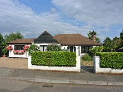 Picture 22